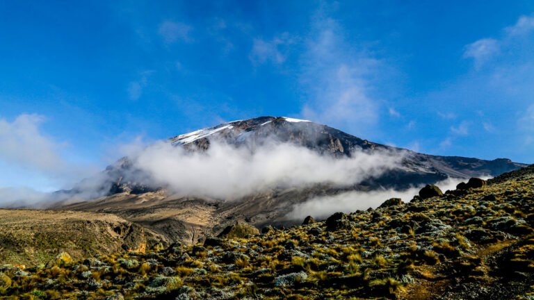 08 Days Coca Cola Route Marangu