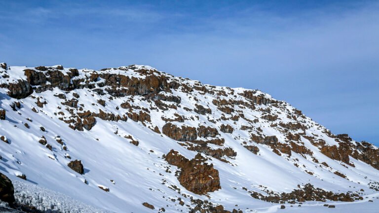 08 Days Lemosho Route