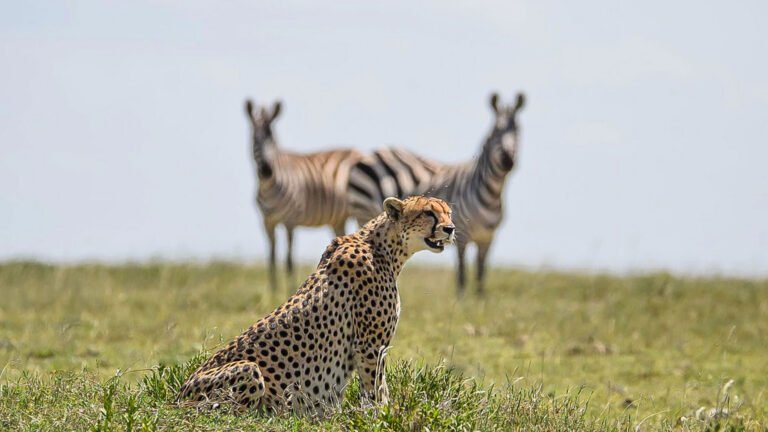 Encounter Tanzania without Serengeti