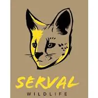 serval.jpeg