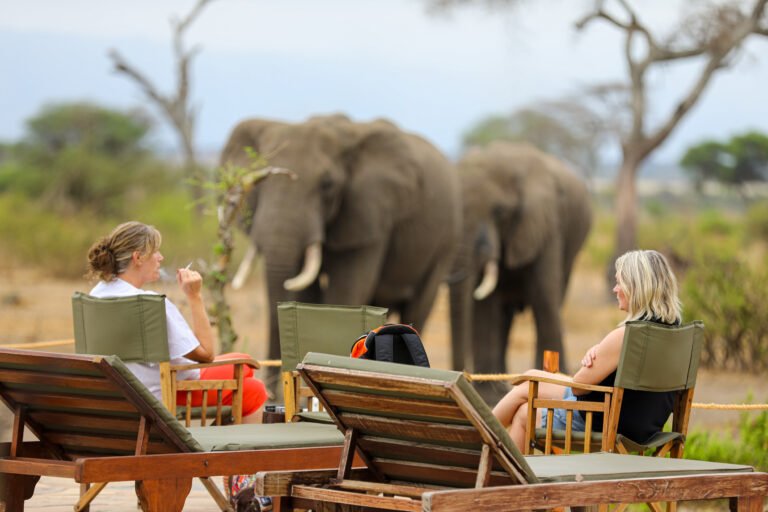 07 Days Untamed Safari Standard Lodges