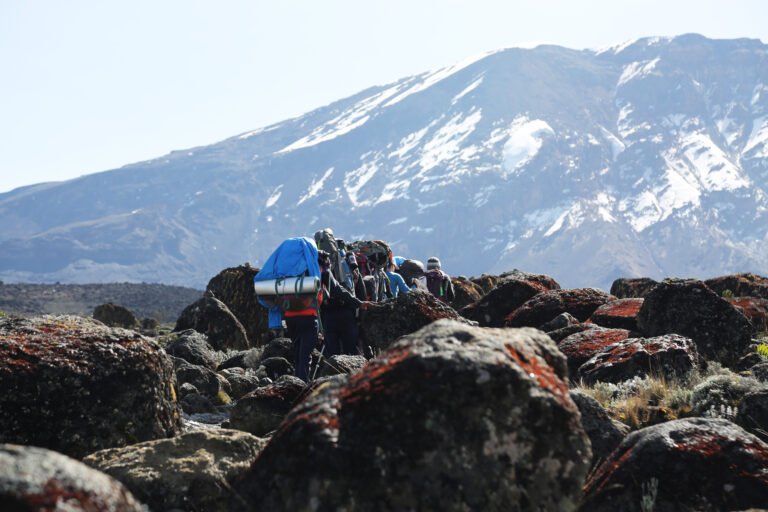 08 Days Rongai Route