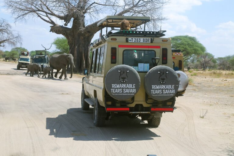 6 Days Tanzania Safari Western Part